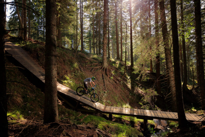 Bike Park Rogla - Miha Matavž Photo & Video - Dan Briški