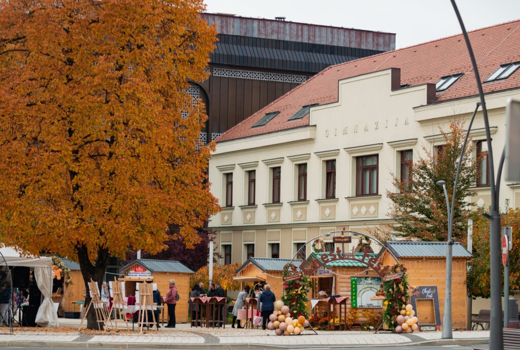 Festival kestena, Cazin