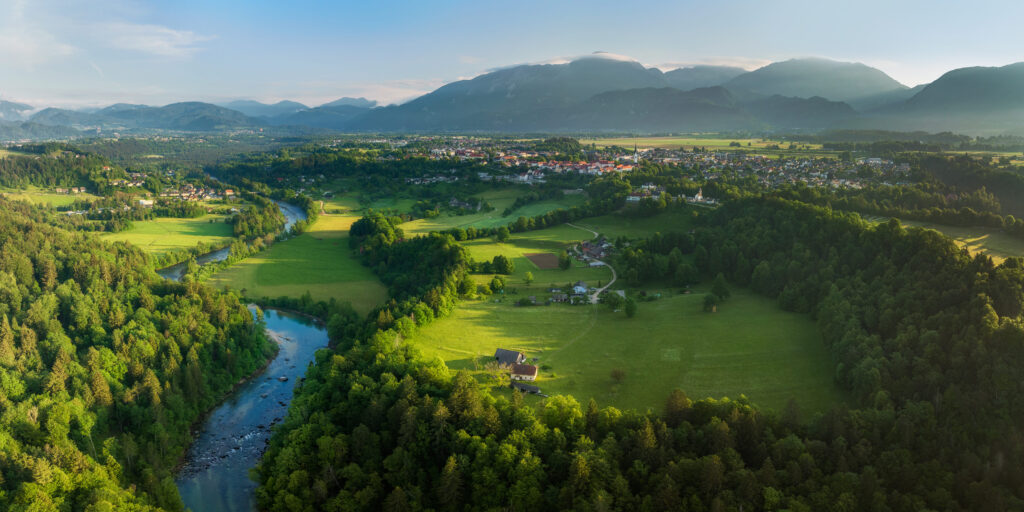 Sava, Radovljica