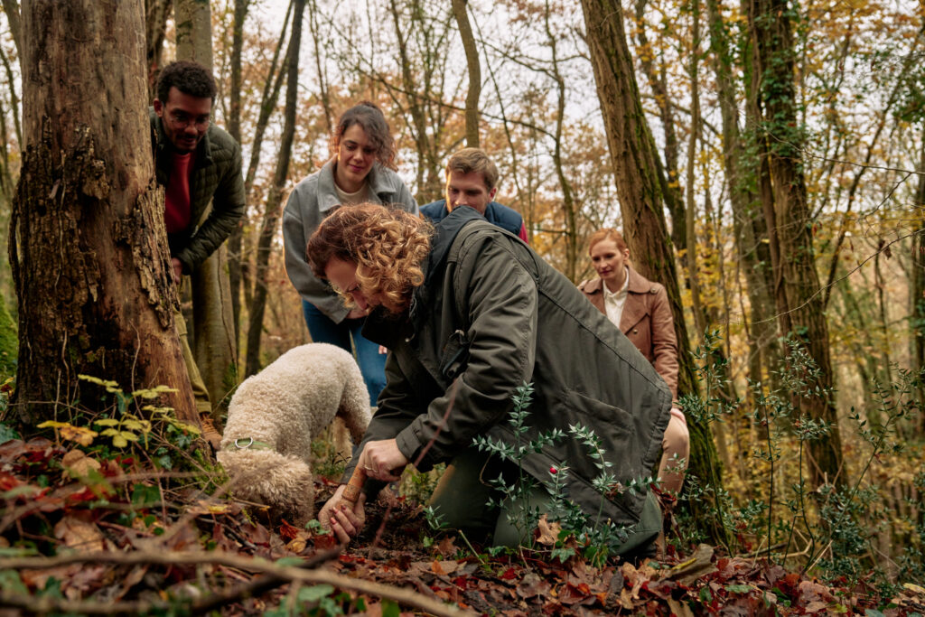 Truffle Hunt - IstriaTB