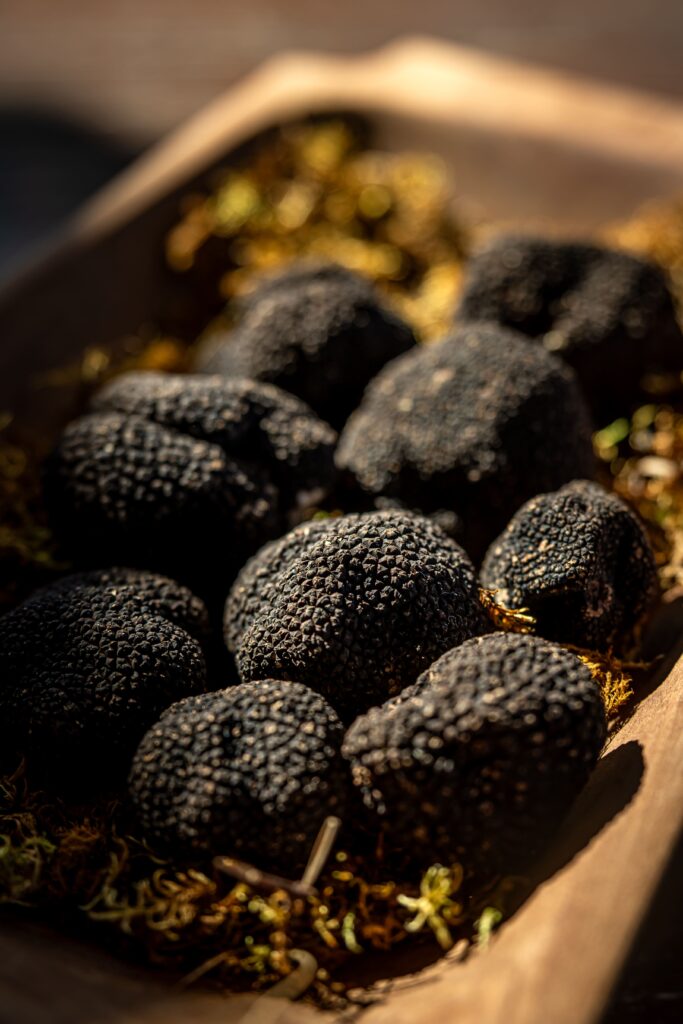 Truffles - Julien Duval